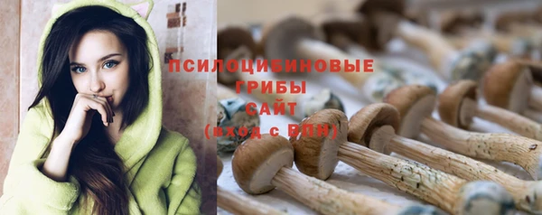 ГАЛЛЮЦИНОГЕННЫЕ ГРИБЫ Абаза